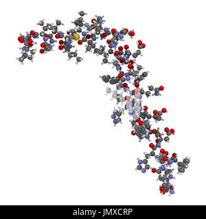 Beta-Amyloid (Abeta) Peptid. Hauptbestandteil der Plaques bei Alzheimer-Krankheit gefunden. Ball-und-Peitsche-Modell mit konventionellen Farbkodierung. Stockfoto