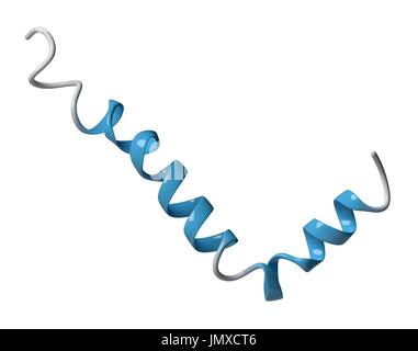 Beta-Amyloid (Abeta) Peptid. Hauptbestandteil der Plaques bei Alzheimer-Krankheit gefunden. Cartoon-Modell, sekundäre Struktur Färbung (Helices blau). Stockfoto