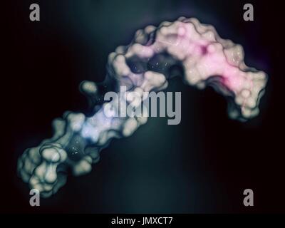 Beta-Amyloid (Abeta) Peptid. Hauptbestandteil der Plaques bei Alzheimer-Krankheit gefunden. Stilisierte Kombination eine halbtransparente Geländemodells mit einer Cartoon-Darstellung. Cartoon: gradient Färbung (N-Terminus blau, C-Terminus rosa). Stockfoto