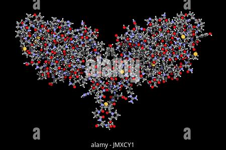 CTLA-4 (zytotoxischen T-Lymphozyten-assoziierten Protein 4, CD152) Protein. CTLA4 blockierende Antikörper werden in der Krebstherapie (immun Checkpoint Blockade Therapie) eingesetzt. Ball-und-Peitsche-Modell mit konventionellen Farbkodierung. Stockfoto
