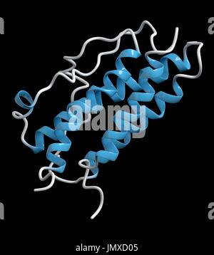 Erythropoetin (menschliche EPO, Epoetin) Protein Hormon. Stimuliert die Produktion von roten Blutkörperchen. Als Medizin und im Sport doping verwendet. Cartoon-Modell, sekundäre Struktur Färbung (Helices blau). Stockfoto