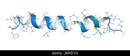 Glucagon-Like Peptid 1 (GLP1, 7-36) Molekül. GLP-1 Analoga sind bei der Behandlung von Diabetes eingesetzt und umfassen Exenatide, Liraglutid, Lixisenatid, Albiglutide, Dulaglutid, Semaglutide. Kombinierte Drahtmodell und Cartoon-Modell. Cartoon und Kohlenstoff-Atome: Rückgrat gradient Färbung (blau-blaugrün); andere Atome: konventionelle Farbkodierung. Stockfoto
