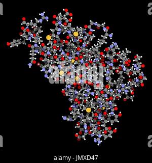 Menschlichen Prion-Protein (hPrP). Im Zusammenhang mit neurodegenerativen Erkrankungen, einschließlich Kuru, BSE und Creutzfeldt-Jakob. Ball-und-Peitsche-Modell mit konventionellen Farbkodierung. Stockfoto