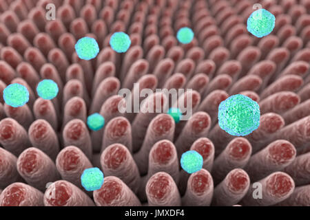 Hepatitis A-Viren infizieren Darm, Abbildung. Hepatitis A wird durch infizierte Speisen oder Getränke übertragen. Symptome: grippeähnliche Symptome wie Fieber und Krankheit zusammen mit Gelbsucht. Stockfoto