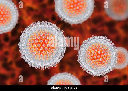 Hepatitis C-Virus, Abbildung. Hepatitis C wird durch Blut-Kontakt, durch Bluttransfusionen oder die gemeinsame Nutzung von infizierten Nadeln am häufigsten verbreitet. Es verursacht eine Entzündung der Leber mit Gelbsucht und grippeähnliche Symptome. Derzeit gibt es keinen Impfstoff gegen Hepatitis c. Stockfoto