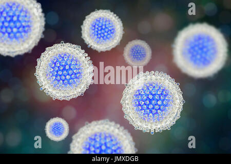 Hepatitis C-Virus, Abbildung. Hepatitis C wird durch Blut-Kontakt, durch Bluttransfusionen oder die gemeinsame Nutzung von infizierten Nadeln am häufigsten verbreitet. Es verursacht eine Entzündung der Leber mit Gelbsucht und grippeähnliche Symptome. Derzeit gibt es keinen Impfstoff gegen Hepatitis c. Stockfoto