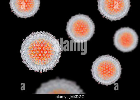 Hepatitis C-Virus, Abbildung. Hepatitis C wird durch Blut-Kontakt, durch Bluttransfusionen oder die gemeinsame Nutzung von infizierten Nadeln am häufigsten verbreitet. Es verursacht eine Entzündung der Leber mit Gelbsucht und grippeähnliche Symptome. Derzeit gibt es keinen Impfstoff gegen Hepatitis c. Stockfoto