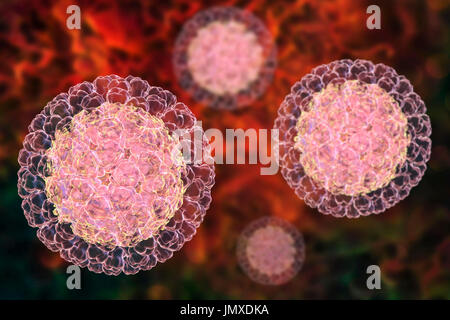 Rotavirus-Teilchen, Computer Bild. Die Viruspartikel besteht aus einer RNA (Ribonukleinsäure) Kern eine dreifach geschichtete Kapsid umgeben. Rotaviren sind wahrscheinlich die häufigste Viren zu infizieren Menschen und Tiere. Sie sind verbunden mit Durchfall und Magen-Darm - in der Regel infizieren den Darm von Kindern im Alter von 6 Monaten bis 3 Jahre. Die Viren sind in den Fäzes. Stockfoto
