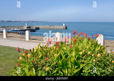 Hafen von Saint-Michel-Chef-Chef mit den roten Canna Blüten, im Departement Loire-Atlantique in Westfrankreich. Stockfoto