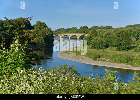 Coldstream Brücke über dem Fluss Tweed. Coldstream, Scottish Borders, Berwickshire, Schottland, Vereinigtes Königreich, Europa. Stockfoto