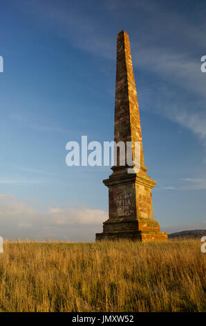 Grafffii auf ein Obelisk auf Wychbury Hügel in der Nähe Clent Hügel in Worcestershire Uk. Wer hat Bella in der Hexe Elm? Stockfoto