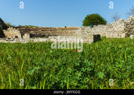 Rote Mohnblumen in dem grünen Rasen vor dem Hintergrund Hintergrund der antiken Ruinen. Entspannen Sie sich im freien Landschaft alte Stadt. Stockfoto