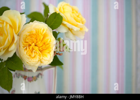 Stillleben mit Rose Pilgrim Stockfoto