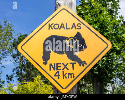 Gelbes Warnschild für Koalas, die die Straße überqueren, Australien Stockfoto