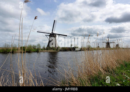 Holländische Windmühlen in den Nachmittag bauen und neben Polder Wasser in Kinderdijk Südholland verwendet, um Wasser abtropfen lassen, mit Windkraft und Stockfoto