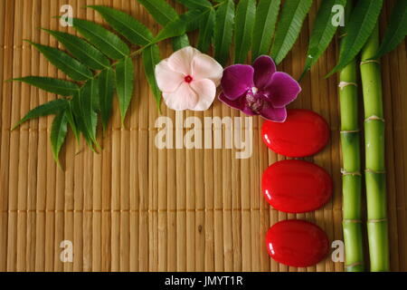 Zweige von Bambus und Laub mit roten Kieselsteinen in Lebensstil Zen und Blumen Orchideen auf hölzernen Hintergrund angeordnet Stockfoto