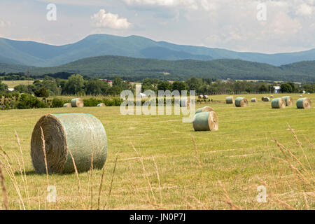 Luray, Virginia - ein Feld-Hof im Shenandoah-Tal unterhalb der Blue Ridge Mountains und der Shenandoah-Nationalpark. Stockfoto