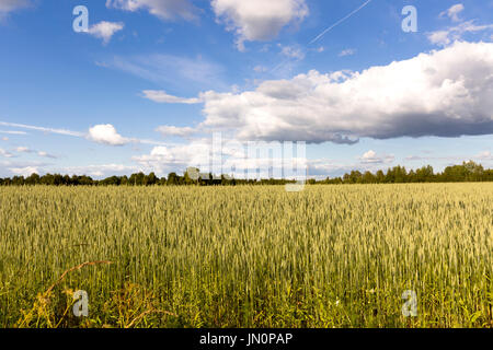 Blick auf die Landschaft Landschaft über Wiese Stockfoto