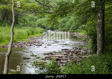 Davis, West Virginia - Flusses Blackwater in Canaan Valley National Wildlife Refuge. Stockfoto