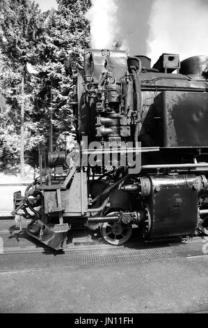 99 7238-1 nimmt Wasser auf Drei Annen Hohne mit dem 09:42 Wernigerode - Brocken-Service, Harzer Schmalspurbahnen. Stockfoto