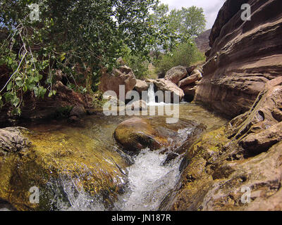 Flagstaff, Arizona, USA. 25. Juli 2017. 24. Juli 2017. Thunder River fließt klar und frisch mit Ursprung aus einer Quelle spritzenden aus einem Kalkstein-Felswand. Eine Gruppe von Fluss Läufer auf den Weg von Lees Ferry Arizona auf einer 221 Meile anständige des Colorado River durch die geologische Zeit ausgesetzt durch Erosion im Grand Canyon National Park Diamond Creek im Hualapi Indianer Reservat am westlichen Rand des Parks. Bildnachweis: Ralph Lauer/ZUMA Draht/Alamy Live-Nachrichten Stockfoto