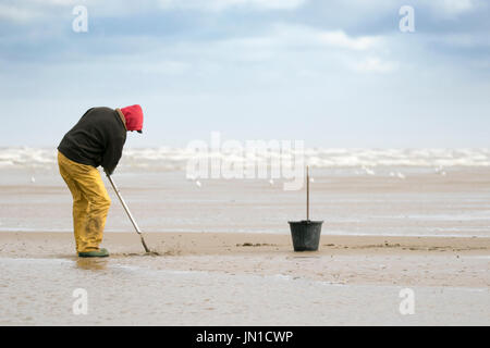 Southport, Merseyside, 29. Juli 2017. Großbritannien Wetter. Lizenzierte Strand Wormer "Paul Gledhill" jagt für Regenwürmer an den Ufern des Southport direkt am Meer. Der European Nightcrawler Wurm ist sehr begehrt für Köder für den Fischfang als es verträgt, nahe dem Gefrierpunkt von Wasser und ist einer der wenigen Regenwürmer geeignet für Salzwasser Angeln. Diese Würmer können bis zu 7 Zoll (18 cm) in der Länge wachsen, aber sind in der Regel zwischen 3 und 4 Zoll (7 – 10 cm) lang. Bildnachweis: Cernan Elias/Alamy Live-Nachrichten Stockfoto