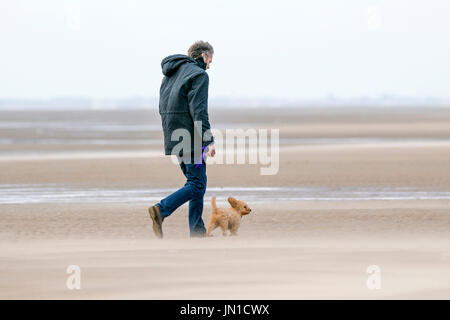 Southport, Merseyside, 29. Juli 2017. Großbritannien Wetter. Ein kühler Grau dunkel Start in den Tag begrüßt die Hundebesitzer, wie sie ihre geliebten Haustiere am Strand von Southport in Merseyside ausüben. Es werden in der Regel trocken, aber windig Tag mit Sonne bis in den Nachmittag über die Nord-West-Region erwartet. Bildnachweis: Cernan Elias/Alamy Live-Nachrichten Stockfoto