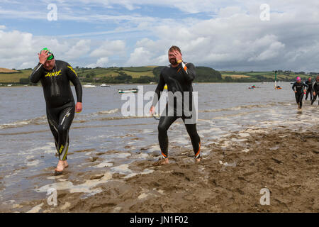 Konkurrenten in Neoprenanzüge der Welsh Open Water Mündung wilde Wasser 2017 Schwimmen von Ferryside, Carmarthenshire, Wales im tywi Mündung. Stockfoto