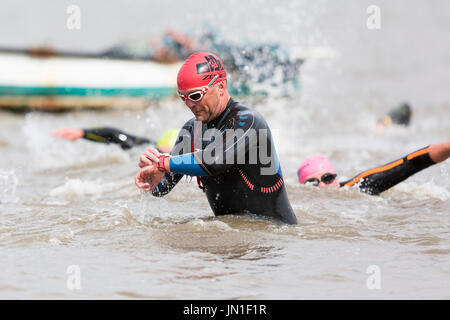 Konkurrenten in Neoprenanzüge der Welsh Open Water Mündung wilde Wasser 2017 Schwimmen von Ferryside, Carmarthenshire, Wales im tywi Mündung. Stockfoto