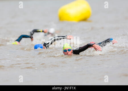 Konkurrenten in Neoprenanzüge der Welsh Open Water Mündung wilde Wasser 2017 Schwimmen von Ferryside, Carmarthenshire, Wales im tywi Mündung. Stockfoto