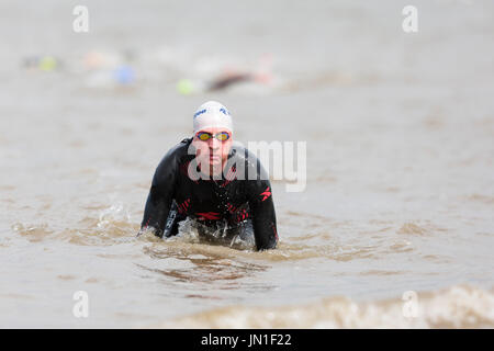 Konkurrenten in Neoprenanzüge der Welsh Open Water Mündung wilde Wasser 2017 Schwimmen von Ferryside, Carmarthenshire, Wales im tywi Mündung. Stockfoto