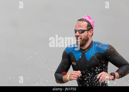 Konkurrenten in Neoprenanzüge der Welsh Open Water Mündung wilde Wasser 2017 Schwimmen von Ferryside, Carmarthenshire, Wales im tywi Mündung. Stockfoto