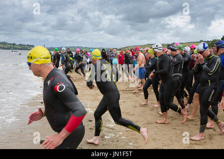 Konkurrenten in Wetsuits laufen Richtung Wasser zu Beginn der Welsh Open Water Mündung wilde Wasser 2017 Schwimmen von Ferryside, Carmarthenshire, Wales im tywi Mündung. Stockfoto