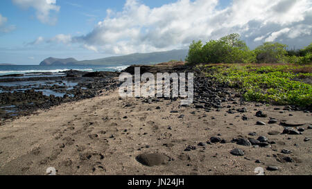 Galapagos Inseln Landschaft - Paisaje Islas Galápagos Stockfoto