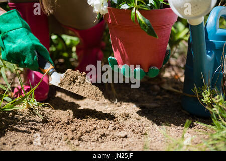 Nahaufnahme von Frau pflanzt Bäumchen im Garten an einem sonnigen Tag Stockfoto