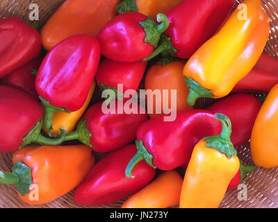 Sortiment an kleine rote, gelbe und orange Paprika Stockfoto