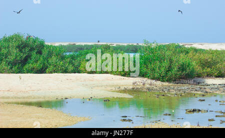 Möwen fliegen und Angeln am Meer mit dem Hintergrund auf das Meer und den blauen Himmel Stockfoto