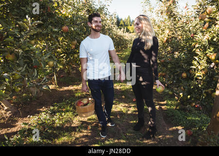 Glückliches Paar Hände halten und stehen in Apple Orchard Stockfoto