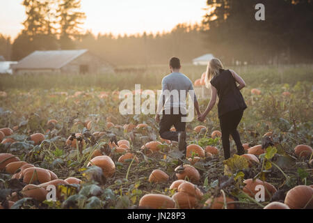 Rückansicht des Paares zu Fuß in Kürbis Feld Stockfoto