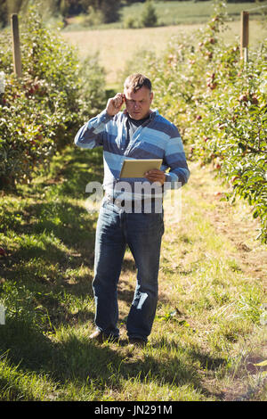 Landwirt mit digitalen Tablet während Gespräch am Handy in Apple Orchard Stockfoto