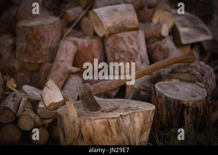Nahaufnahme der Axt auf Baumstamm Stockfoto
