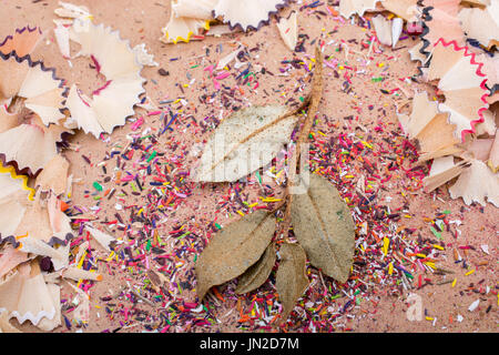 Trockene Blätter inmitten Farbe Bleistift rasieren Stockfoto