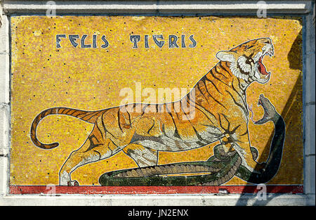 Antwerpen, Belgien. Antwerpen Zoo - Mosaik am Eingang - tiger Stockfoto