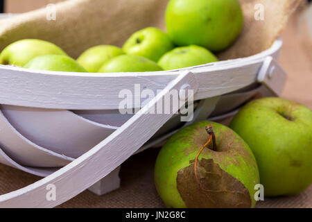 Ein weißen Holz Korb mit frisch gepflückten Äpfel gesammelt aus dem lokalen Obstgarten.  Die Äpfel im Korb sind auf hessischen Hintergrund angezeigt. Stockfoto