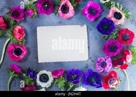 Anemonen Blumen auf Stein Hintergrund Stockfoto