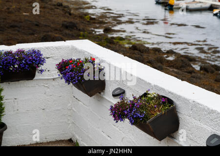 Ballydorn Feuerschiff Haus von unten Cruising Club Stockfoto