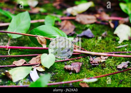 Digitale Währung physische Silber Litecoin Münze in grüner Natur. Stockfoto