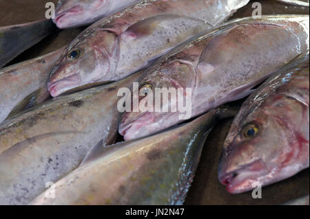 Fisch in Sir Selwyn Selwyn Clarke Market zu verkaufen. Victoria Market, Victoria, Seychellen Stockfoto