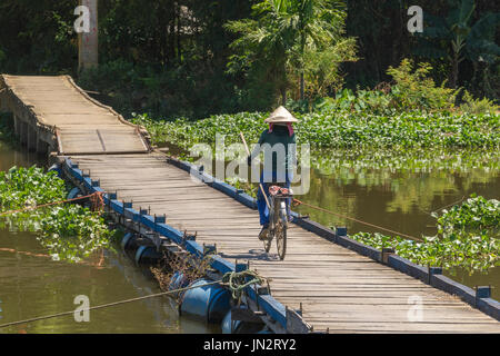 Vietnamesin Reiten Fahrrad über Ponton-Brücke während des Tragens Bauernhof implementieren in ländlichen Vietnam Stockfoto