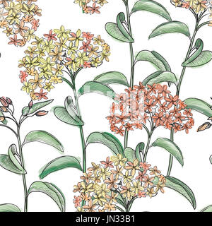 Floral nahtlose Hintergrund Blumenmuster. Stockfoto